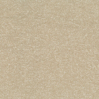 CR4-C-033